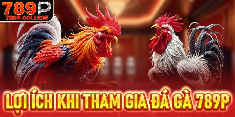 Lợi ích khi tham gia cá cược tại Đá gà 789P