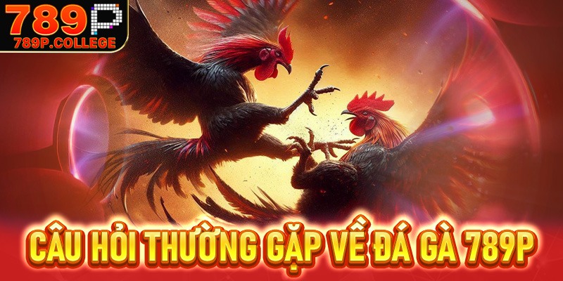 FAQs - Những câu hỏi thường gặp về Đá gà 789P