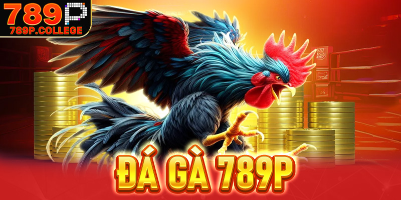 Đá gà 789P - Đấy trường cá cược đá gà hàng đầu Châu Á